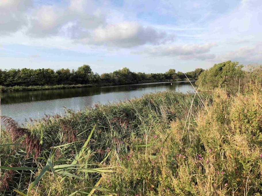 Bazien Luxe Kamer Bij Strand En Kreek Natuur En Veel Faciliteiten Westkapelle Extérieur photo
