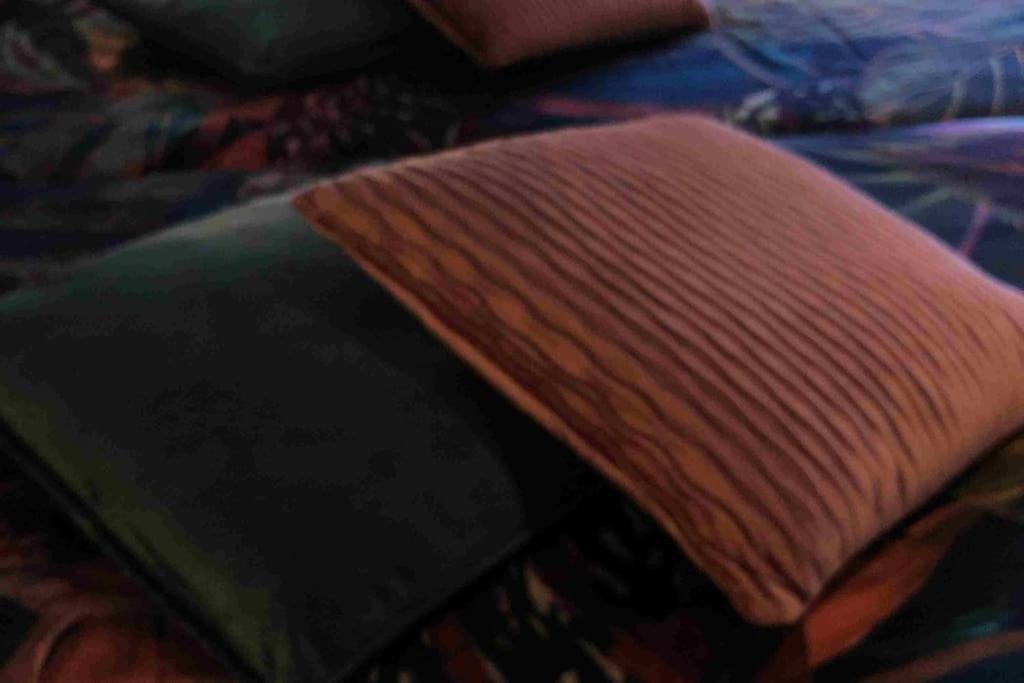 Bazien Luxe Kamer Bij Strand En Kreek Natuur En Veel Faciliteiten Westkapelle Extérieur photo