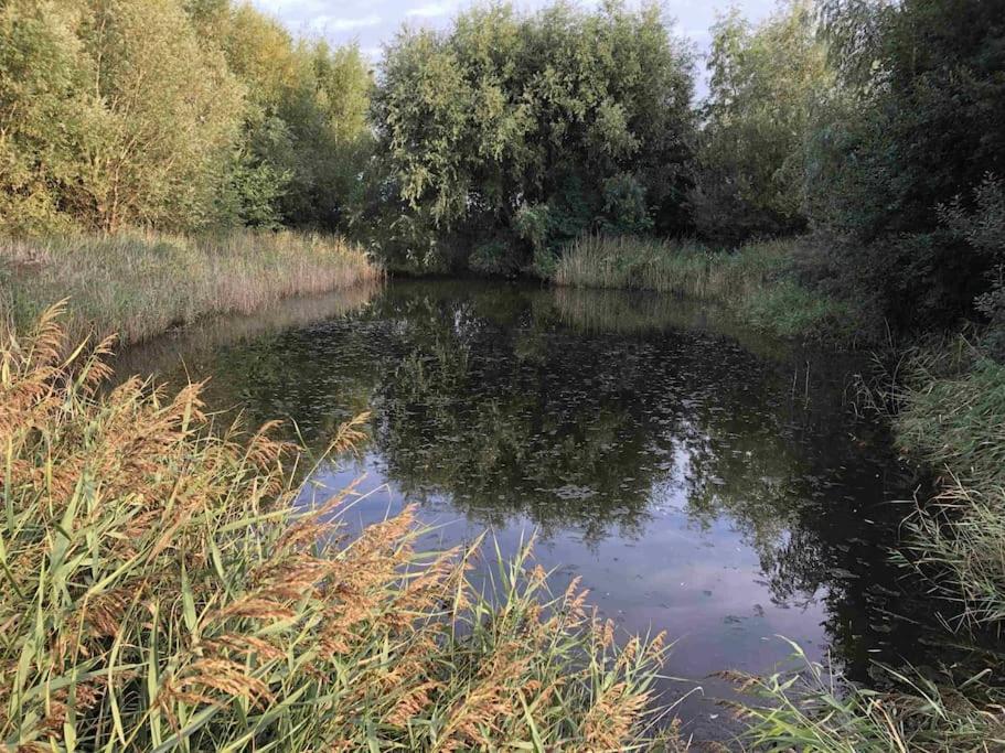 Bazien Luxe Kamer Bij Strand En Kreek Natuur En Veel Faciliteiten Westkapelle Extérieur photo