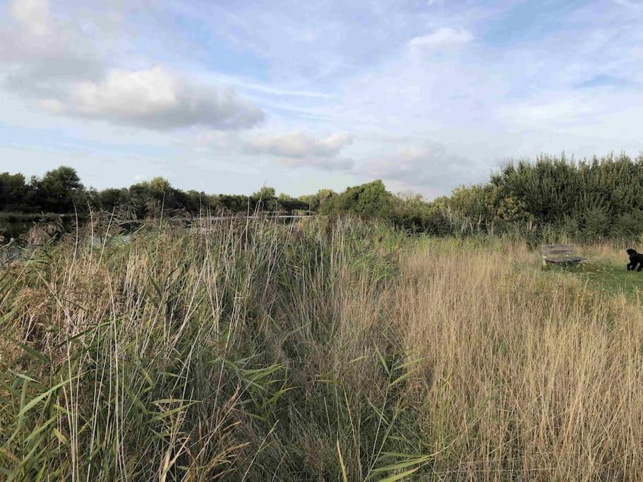 Bazien Luxe Kamer Bij Strand En Kreek Natuur En Veel Faciliteiten Westkapelle Extérieur photo