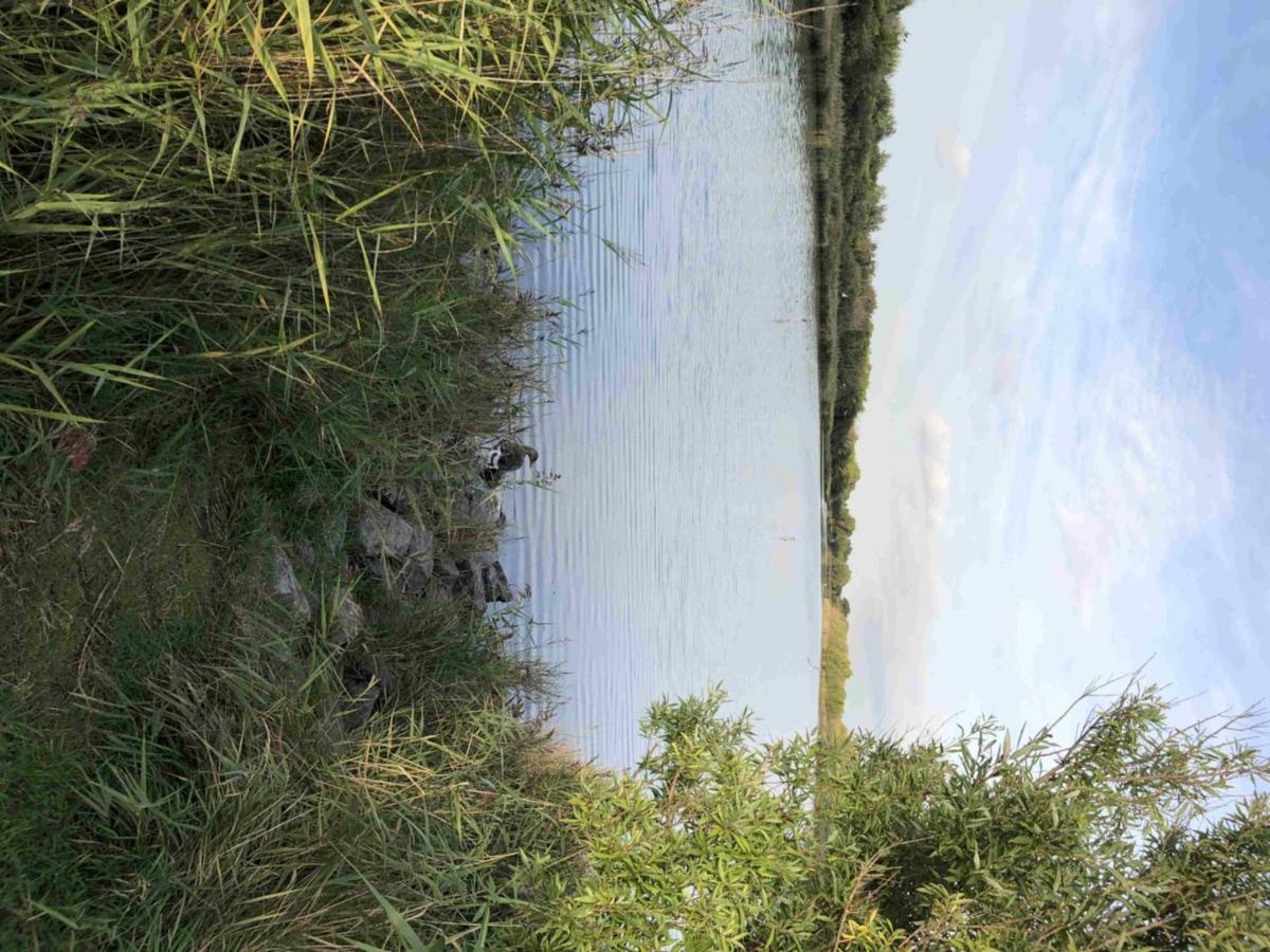 Bazien Luxe Kamer Bij Strand En Kreek Natuur En Veel Faciliteiten Westkapelle Extérieur photo