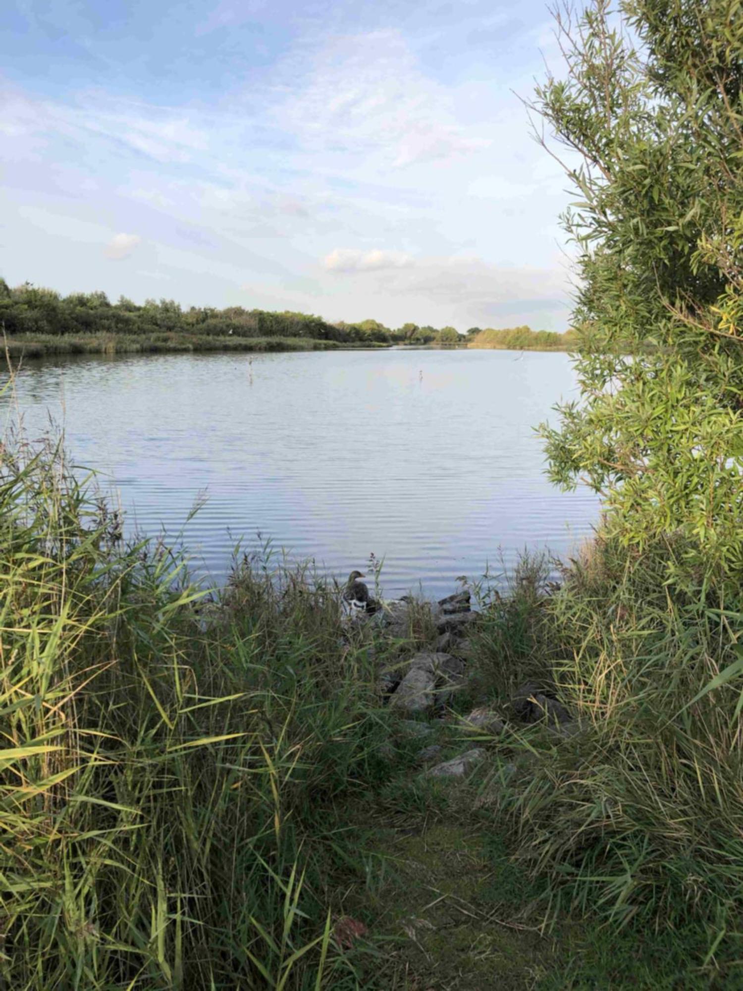 Bazien Luxe Kamer Bij Strand En Kreek Natuur En Veel Faciliteiten Westkapelle Extérieur photo
